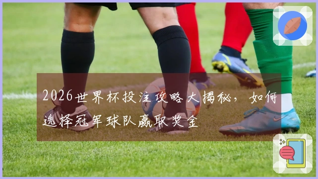 2026世界杯投注攻略大揭秘，如何选择冠军球队赢取奖金