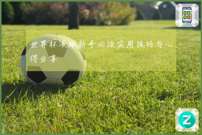 世界杯滚球新手必读实用技巧与心得分享