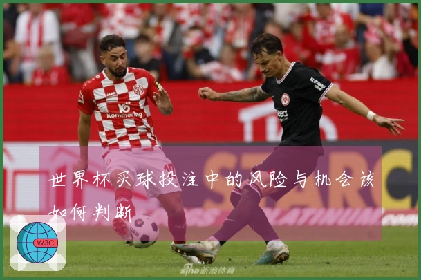 世界杯买球投注中的风险与机会该如何判断