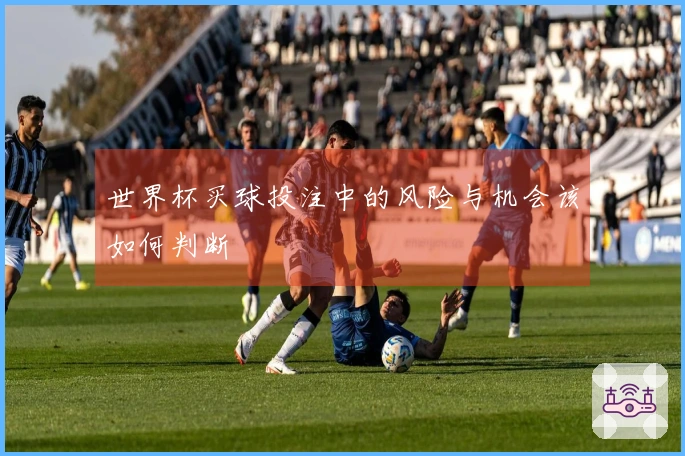 世界杯买球投注中的风险与机会该如何判断