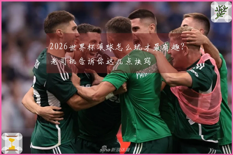 2026世界杯滚球怎么玩才最有趣？老司机告诉你这几点诀窍