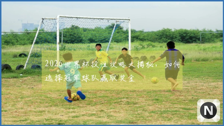 2026世界杯投注攻略大揭秘，如何选择冠军球队赢取奖金
