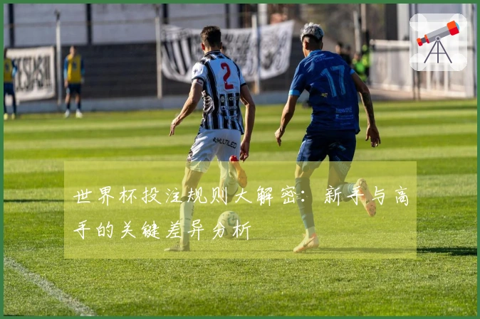 世界杯投注规则大解密：新手与高手的关键差异分析