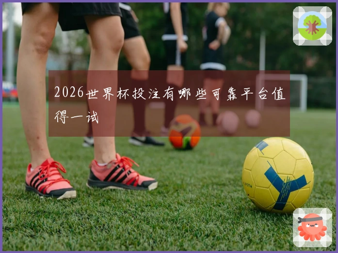 2026世界杯投注有哪些可靠平台值得一试