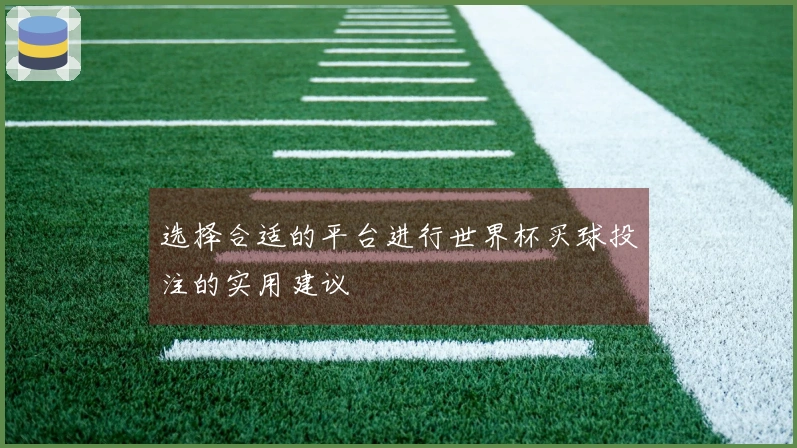 选择合适的平台进行世界杯买球投注的实用建议