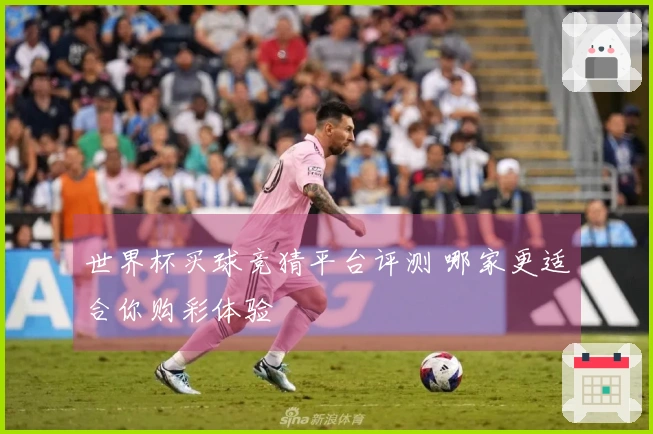 世界杯买球竞猜平台评测 哪家更适合你购彩体验