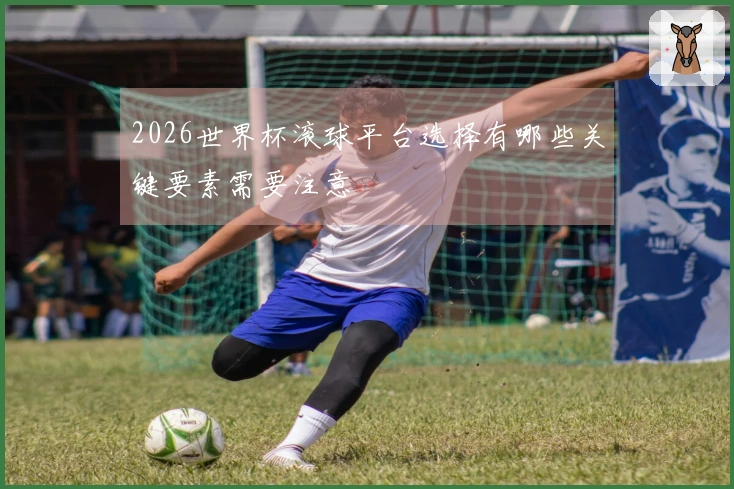 2026世界杯滚球平台选择有哪些关键要素需要注意