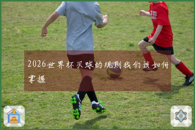 2026世界杯买球的规则我们该如何掌握