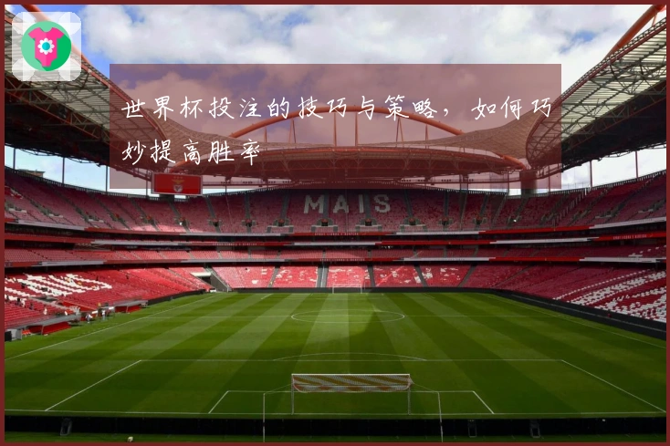 世界杯投注的技巧与策略，如何巧妙提高胜率
