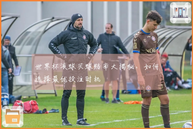 世界杯滚球买球赔率大揭秘，如何选择最优投注时机