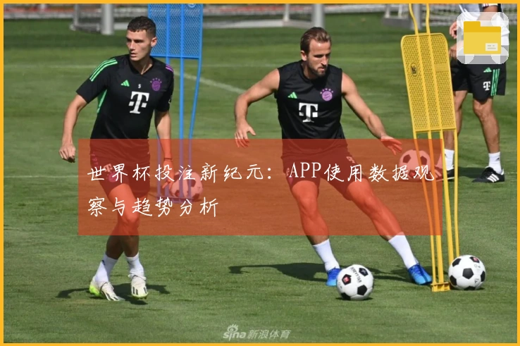 世界杯投注新纪元：APP使用数据观察与趋势分析
