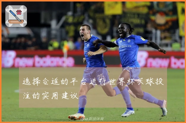 选择合适的平台进行世界杯买球投注的实用建议