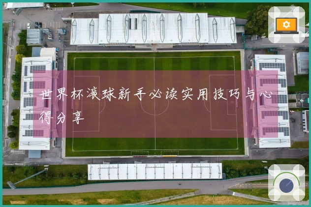 世界杯滚球新手必读实用技巧与心得分享