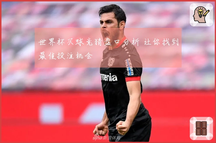 世界杯买球竞猜盘口分析 让你找到最佳投注机会